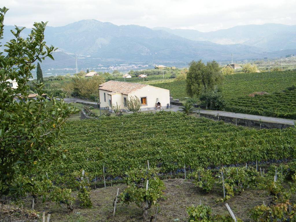 Etna Wine Azienda Agrituristica Passopisciaro Cameră foto